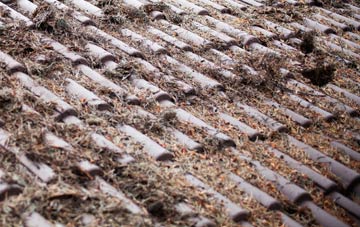 Lucker roof cleaning companies